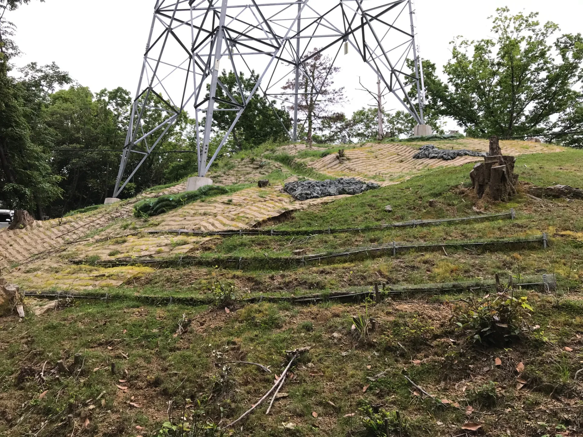 株式会社シーテック様が力を入れている「KODOBOKU」の調査を注目の3D測量を取り入れてお手伝いしています。