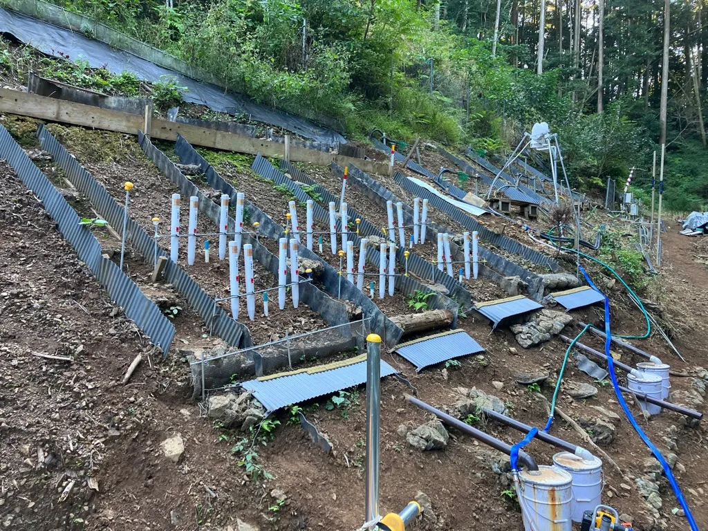 宮崎大学のフィールド内で土水木空間保全技術研究会の研究を行っています。